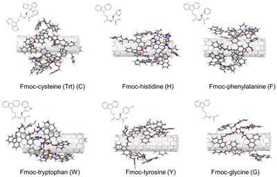 Fmoc-PEG Coated Single-Wall Carbon Nanotube Carriers by Non-covalent Functionalization: An Experimental and Molecular Dynamics Study